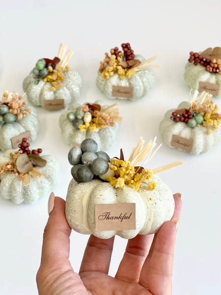 10 pcs Pumpkin Favors for Guests, Baby Shower Gifts, Fall Party Pumpkin Gifts, Wedding Rustic Favors, Thanksgiving Favors, Thank You Gifts