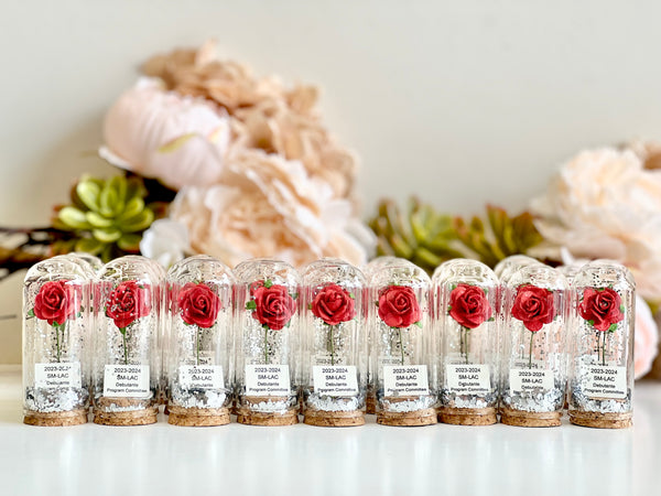 10 pcs Red Wedding Favors – Rose Dome Favors for Guests, Personalized Beauty and the Beast Custom Party Gifts, Bulk Rustic Favors