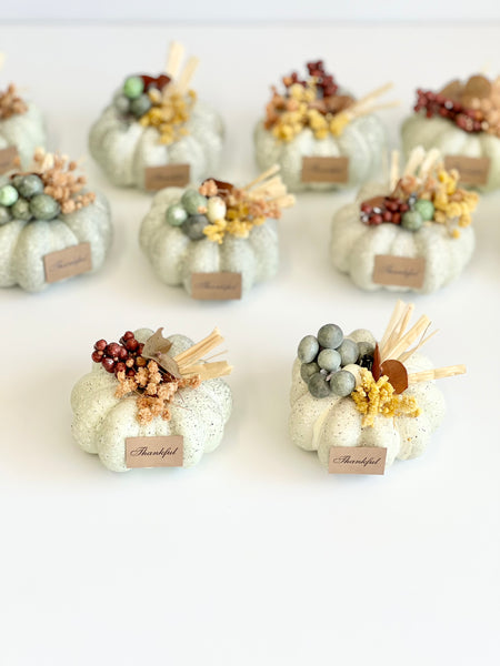 10 pcs Pumpkin Favors for Guests, Baby Shower Gifts, Fall Party Pumpkin Gifts, Wedding Rustic Favors, Thanksgiving Favors, Thank You Gifts