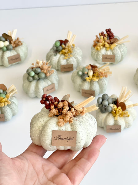 10 pcs Pumpkin Favors for Guests, Baby Shower Gifts, Fall Party Pumpkin Gifts, Wedding Rustic Favors, Thanksgiving Favors, Thank You Gifts