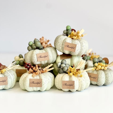 Decorative pumpkins with berries and 'Thankful' labels on a white background