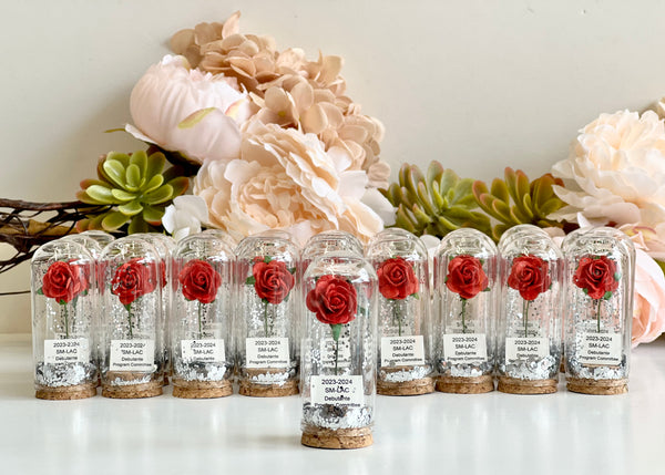 10 pcs Red Wedding Favors – Rose Dome Favors for Guests, Personalized Beauty and the Beast Custom Party Gifts, Bulk Rustic Favors