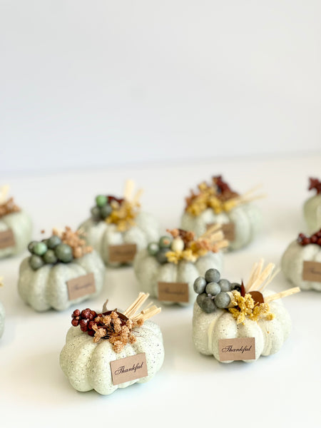 10 pcs Pumpkin Favors for Guests, Baby Shower Gifts, Fall Party Pumpkin Gifts, Wedding Rustic Favors, Thanksgiving Favors, Thank You Gifts