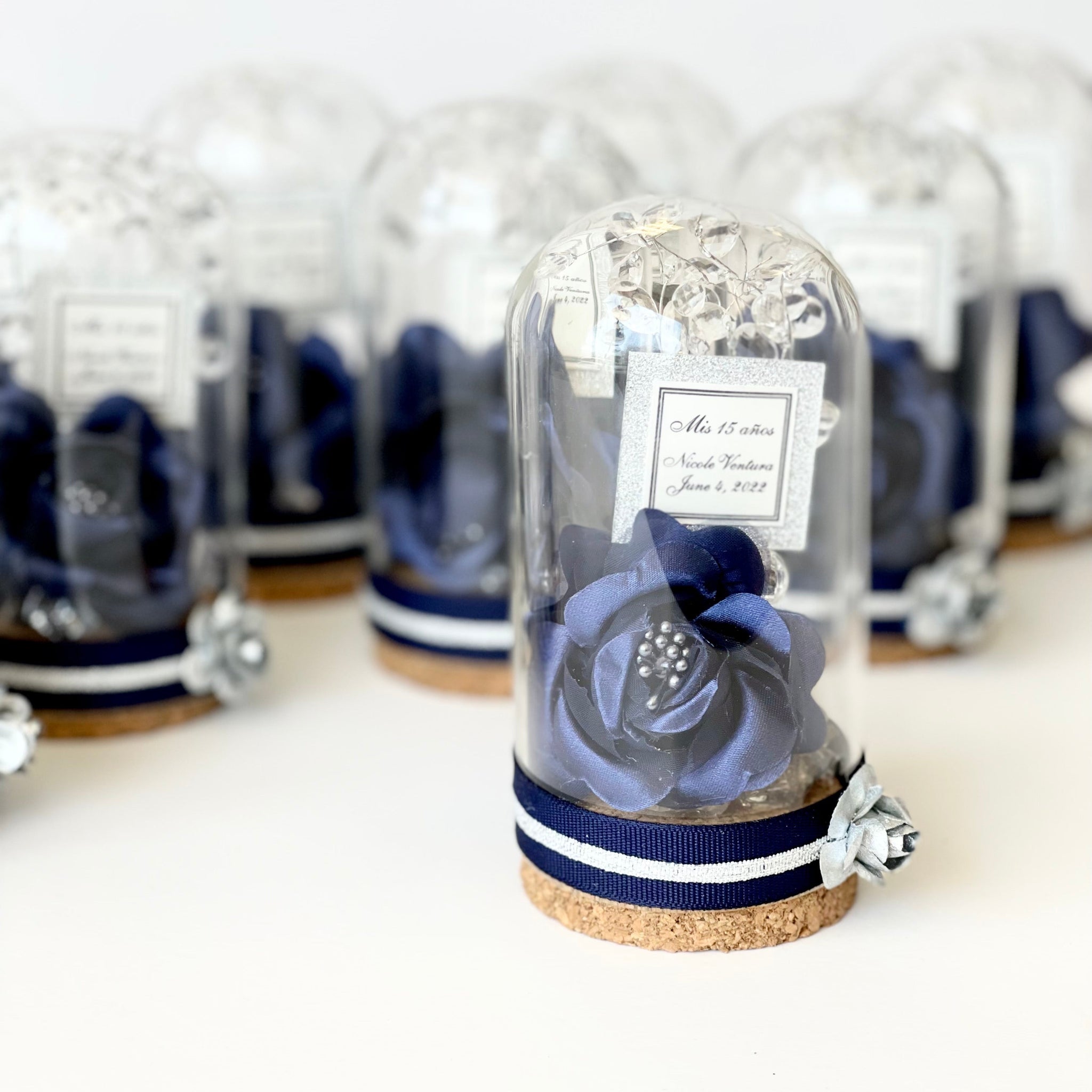 Decorative item in a glass dome with navy ribbon on a white surface