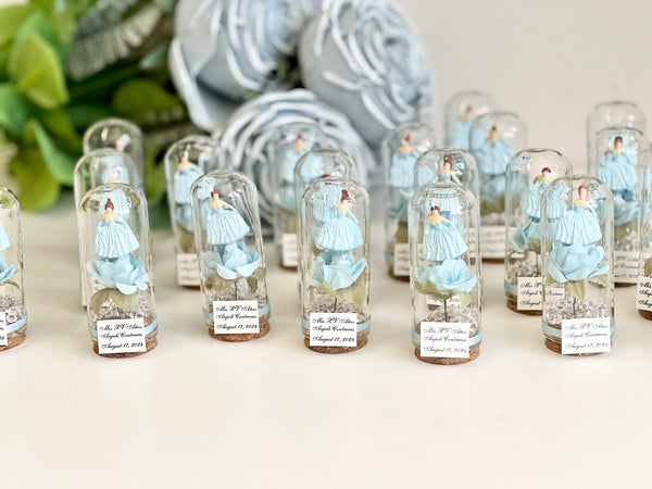10 pcs Cinderella Favors, Wedding Favors for Guests, Wedding Favors,  Custom Favors, Quinceanera Sweet 16, Cinderella Party, Sweet 15