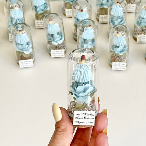 10 pcs Cinderella Favors, Wedding Favors for Guests, Wedding Favors,  Custom Favors, Quinceanera Sweet 16, Cinderella Party, Sweet 15