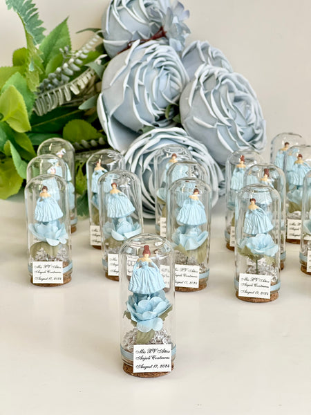 10 pcs Cinderella Favors, Wedding Favors for Guests, Wedding Favors,  Custom Favors, Quinceanera Sweet 16, Cinderella Party, Sweet 15