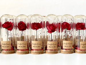 10pcs Wedding Favors for Guests,  Beauty and the Beast, Dome Favors